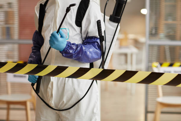 Professional Sewage Cleanup technician working in Evergreen, CO